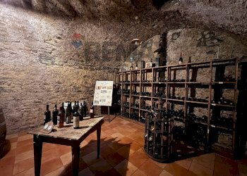 Cantina - Commercial Premises via Sant'Antonio Abate
16, Campobasso - photo 19