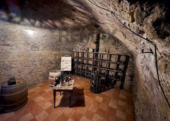 Cantina - Commercial Premises via Sant'Antonio Abate
16, Campobasso - photo 20