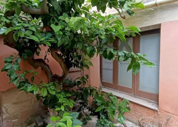 Giardino - Independent house Via Vespri
 
377, Valderice - photo 15