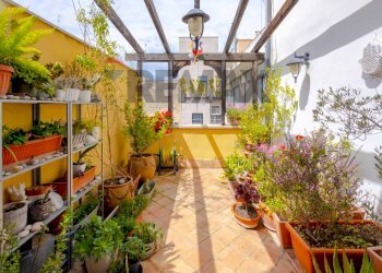 Terrazza - Appartamento Via Scipione Crisanzio
 
46, Bari - foto 31