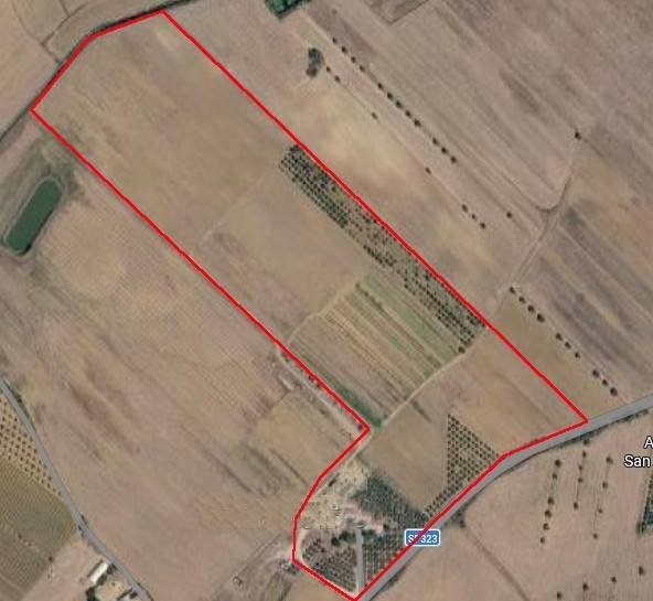 Foto 1 - Azienda agricola St Provinciale 323, Orbetello - foto 1