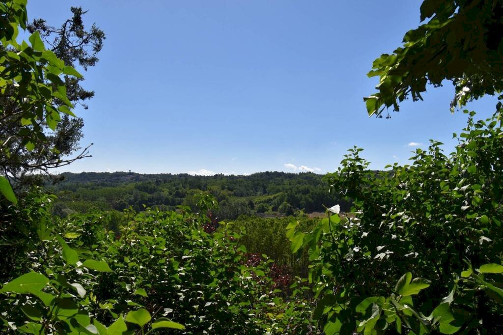 Terreno - Rustic via Giuseppe Mazzini, Belveglio - photo 2
