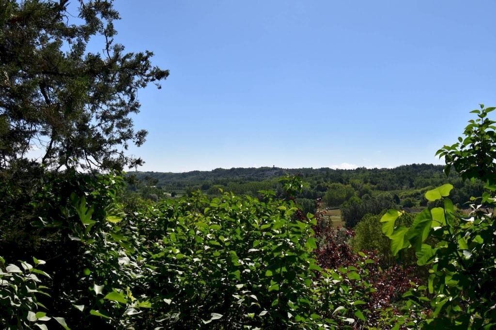Terreno - Rustic via Giuseppe Mazzini, Belveglio - photo 3