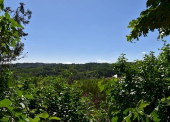 Terreno - Rustico via Giuseppe Mazzini, Belveglio - foto 6