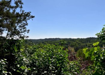 Terreno - Rustico via Giuseppe Mazzini, Belveglio - foto 7