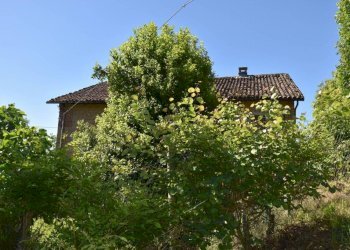 Terreno - Rustico via Giuseppe Mazzini, Belveglio - foto 22