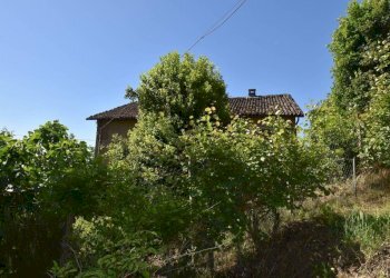 Terreno - Rustico via Giuseppe Mazzini, Belveglio - foto 23