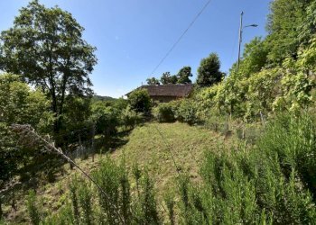 Terreno - Rustico via Giuseppe Mazzini, Belveglio - foto 24