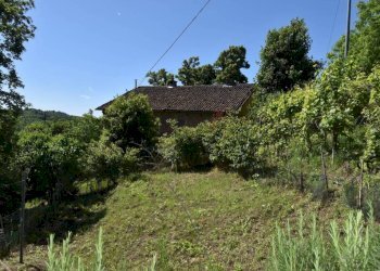 Terreno - Rustico via Giuseppe Mazzini, Belveglio - foto 26