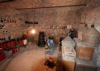 Cantina - Rustico via Giuseppe Mazzini, Belveglio - foto 31