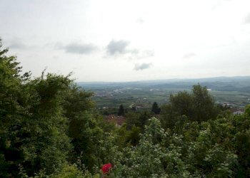 Vista - Trilocale via Giuseppe Garibaldi, Guarene - foto 9