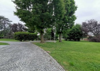 Giardino - Rustico via Sestriere, 3, Vinovo - foto 7