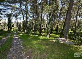 Terreno - Villa strada Raschiazappa Zona L, Martina Franca - foto 17