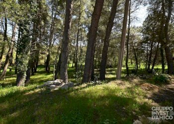 Terreno - Villa strada Raschiazappa Zona L, Martina Franca - foto 18