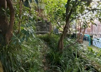 Giardino - Three-room apartment via Aurelia, 300, Zoagli - photo 27