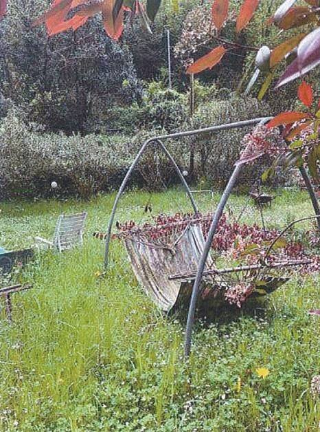 Giardino - Villa all'asta via alla Chiesa di Geminiano, 31, Genova (zona Bolzaneto) - foto 3