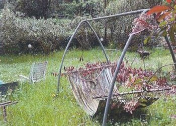Giardino - Villa all'asta via alla Chiesa di Geminiano, 31, Genova (zona Bolzaneto) - foto 3
