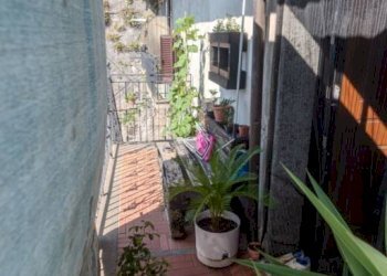 Balcone - Casa indipendente via Piedisole, 11, Vignanello - foto 16