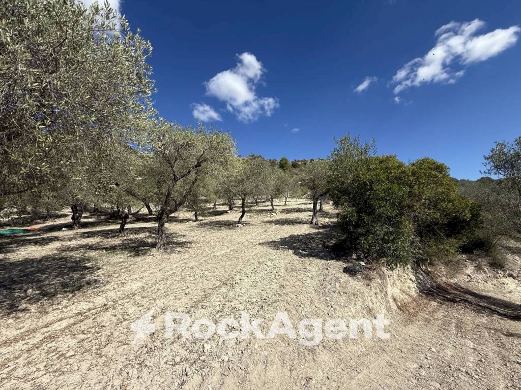 Terreno - Agricultural land Loc Santa Barbara, Sorso - photo 1
