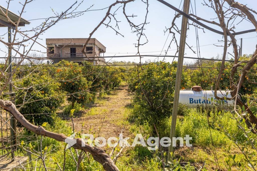 Terreno - Villa strada Provinciale 107, Giovinazzo - photo 2