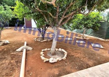 Giardino - Villa Marmora, 12, Castellammare del Golfo - foto 28
