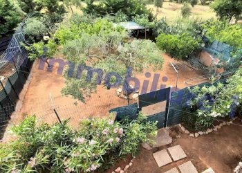 Terreno - Villa Marmora, 12, Castellammare del Golfo - foto 33