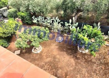 Giardino - Villa Marmora, 12, Castellammare del Golfo - foto 36