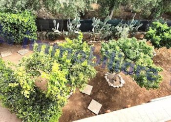 Giardino - Villa Marmora, 12, Castellammare del Golfo - foto 37