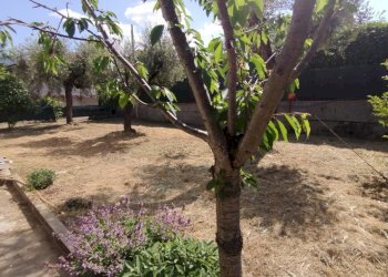 964c1dd0-4335-48d7-9586-e9a2a7aeba16.jpg - Casa indipendente Via della Pace 52, Castelnuovo Magra - foto 7