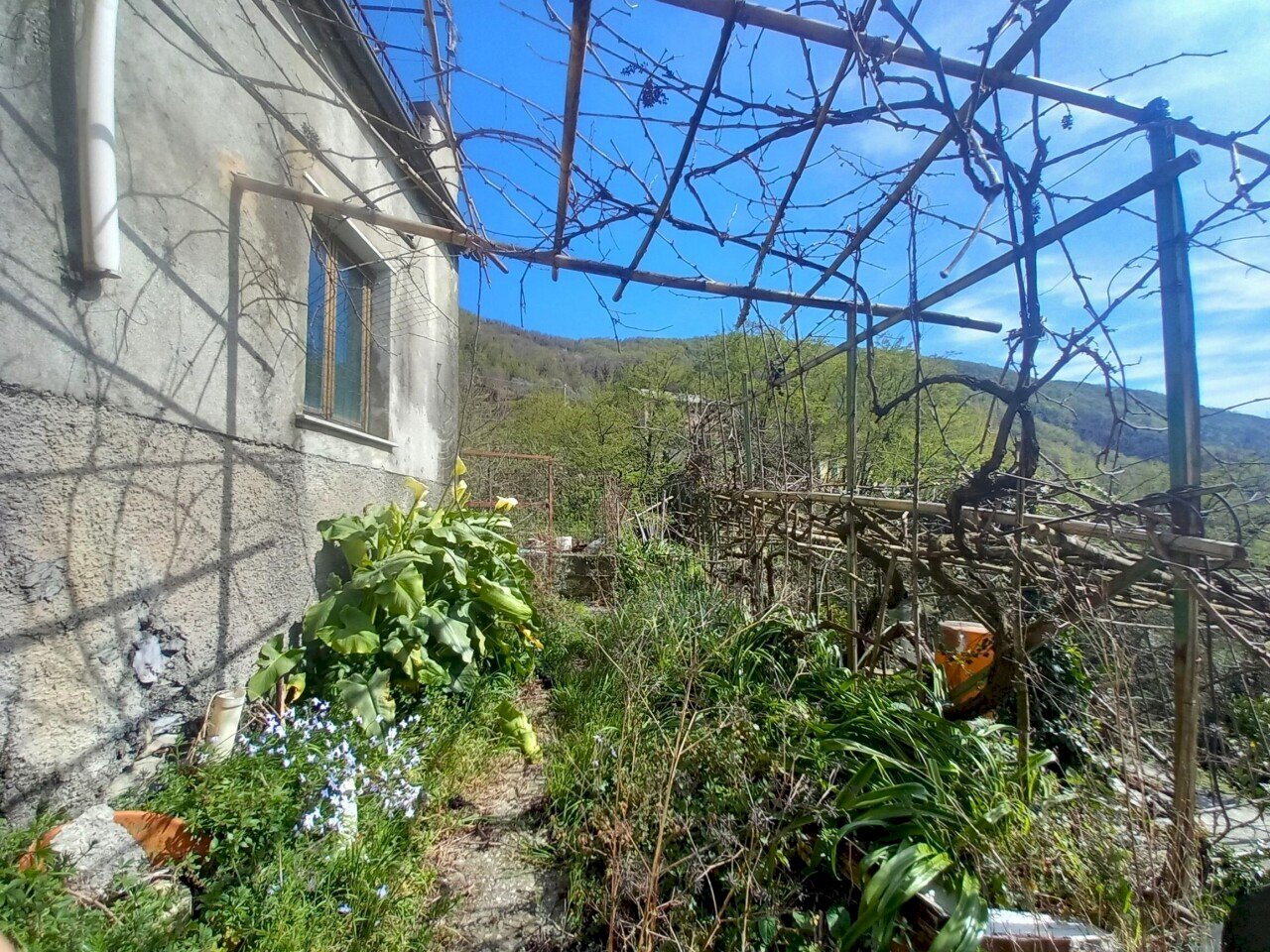 2.jpg - Townhouse Sori - photo 2