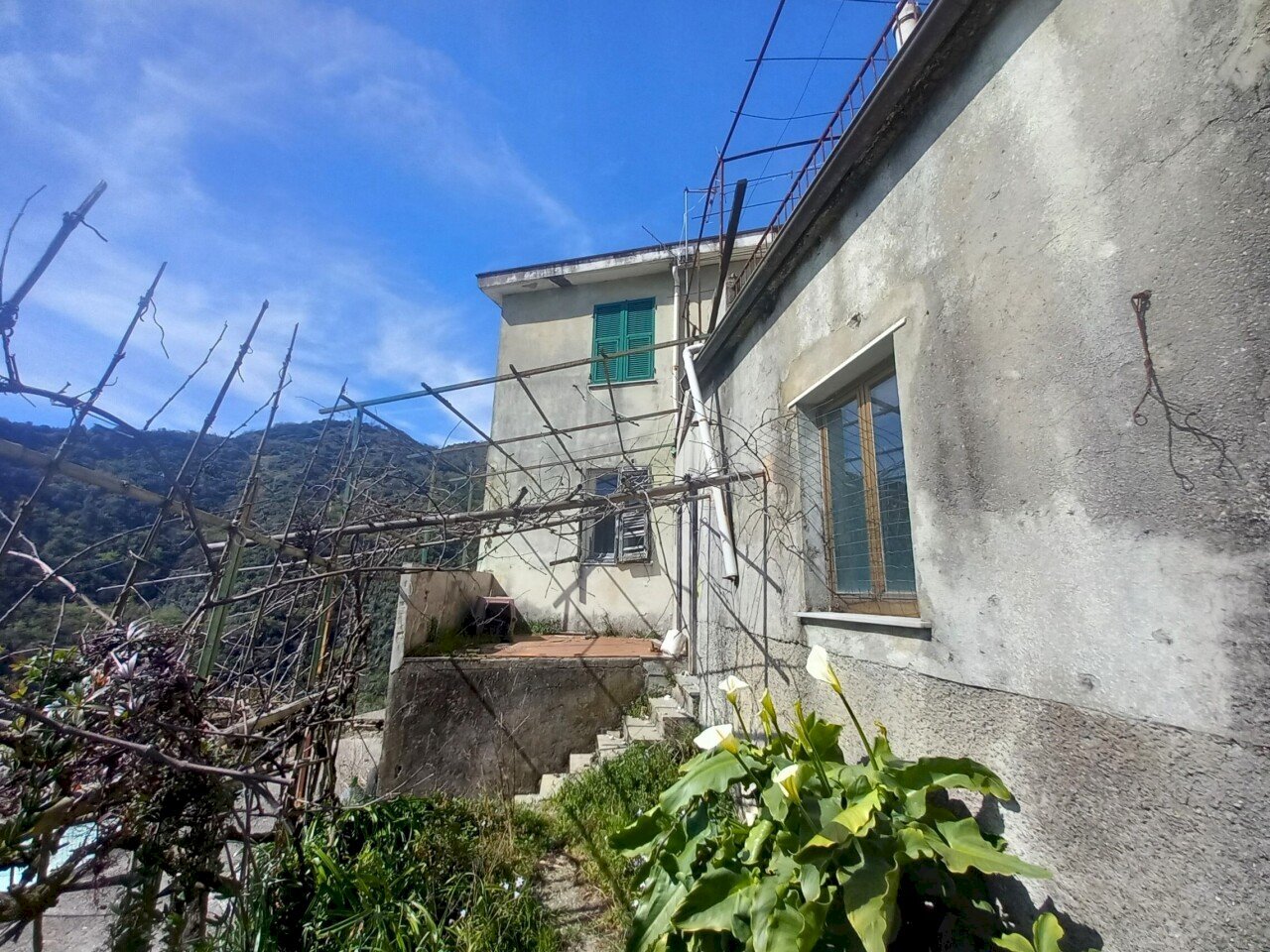 3.jpg - Townhouse Sori - photo 3
