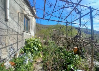 2.jpg - Townhouse Sori - photo 2