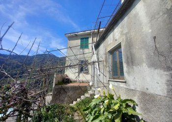 3.jpg - Townhouse Sori - photo 3