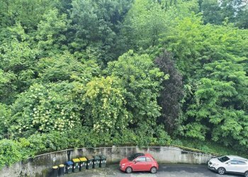 PHOTO-2026-05-11-15-41-36.jpg - Apartment Corso Quintino Sella 92/74, Torino (neighborhood Madonna del Pilone) - photo 15