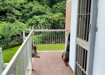 PHOTO-2026-05-11-15-41-38-3.jpg - Apartment Corso Quintino Sella 92/74, Torino (neighborhood Madonna del Pilone) - photo 18
