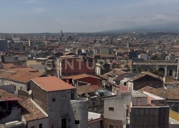 IMG_7245.jpg - Stable - Palace Via Stella Polare 129, Catania - photo 5