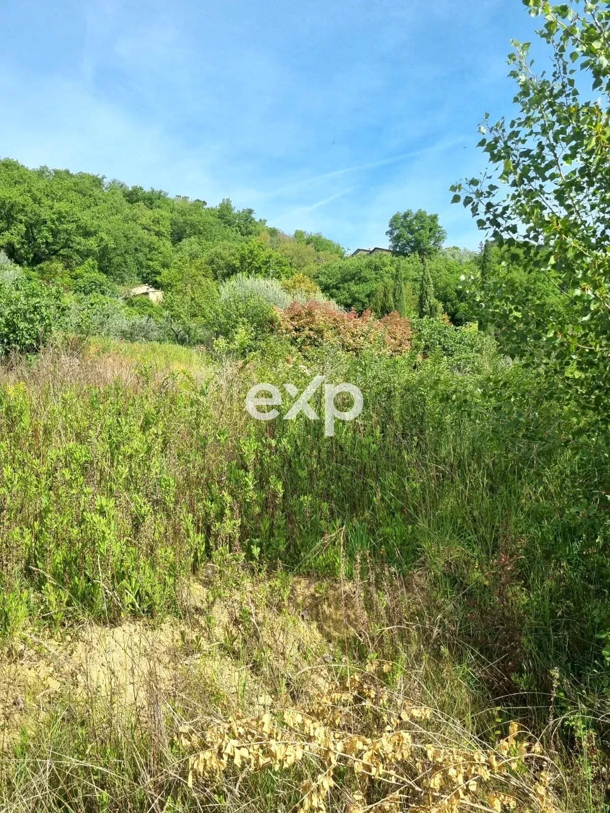 Building land Capolona - photo 3