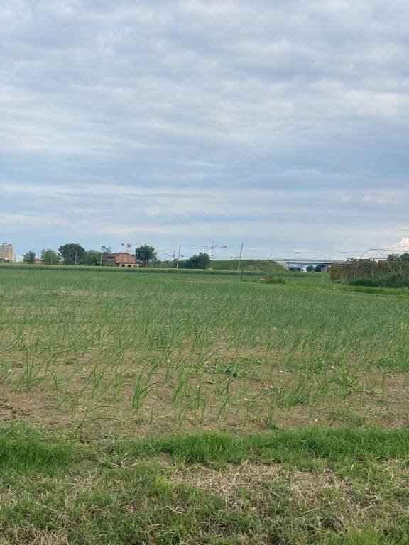 Terreno agricolo Imola - foto 1