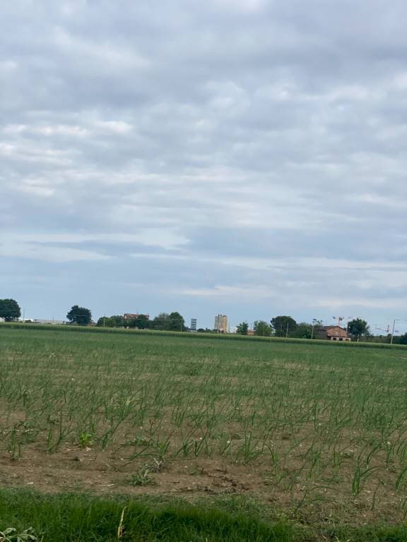 Terreno agricolo Imola - foto 2
