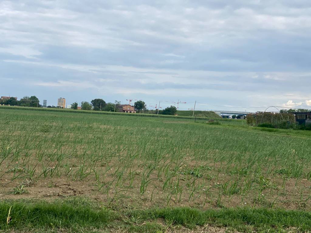 Terreno agricolo Imola - foto 3