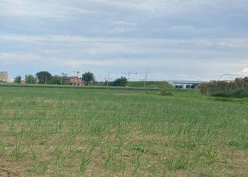 Terreno agricolo Imola - foto 1