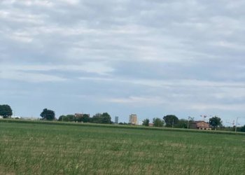 Terreno agricolo Imola - foto 2
