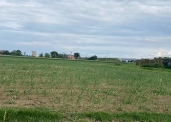 Terreno agricolo Imola - foto 3