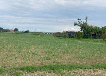 Terreno agricolo Imola - foto 4