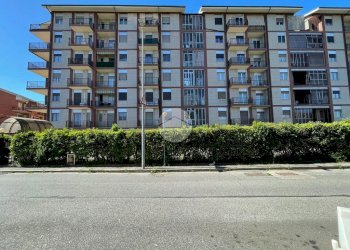 Monolocale Via General Cantore, Collegno - foto 1