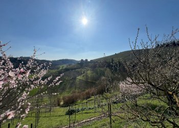 Independent house Mongardino - photo 33