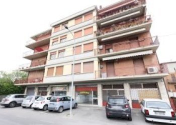 Negozio Vignola - foto 1