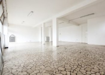 Negozio Vignola - foto 3
