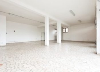 Negozio Vignola - foto 6