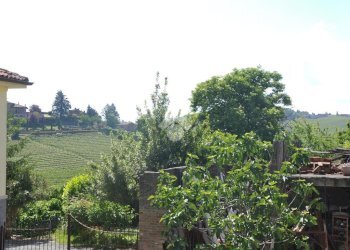 Rustico Str. Bionzo, Costigliole d'Asti - foto 15